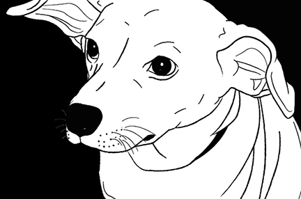 Candy (Editorial Illustration, Adobe Illustrator)